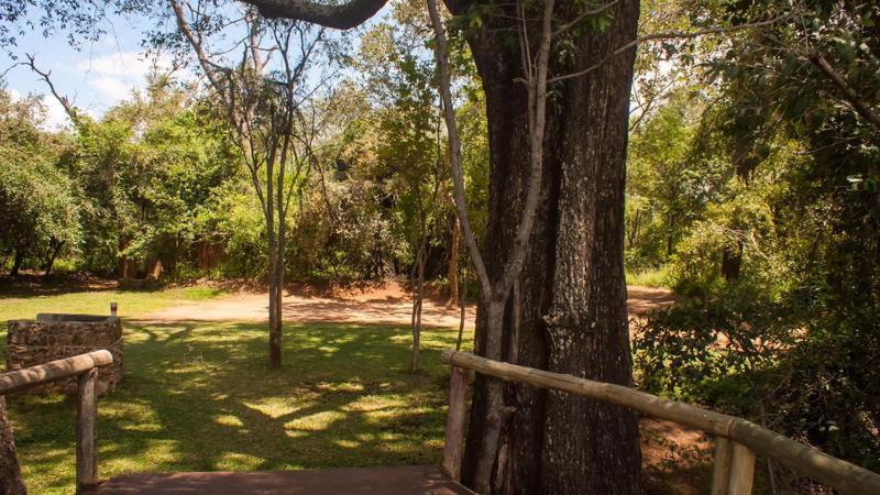 White Sands Lodge Divundu 객실 사진